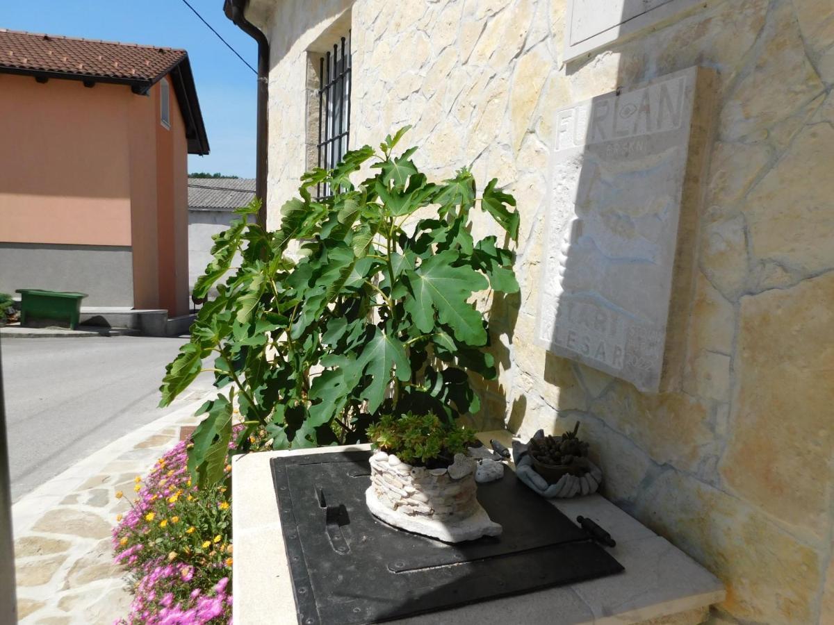 Kamnita Hisa Stari Klesar Villa Ilirska Bistrica Exteriör bild