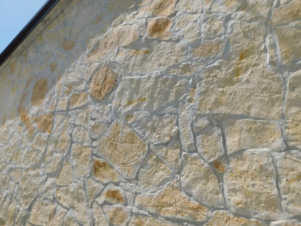 Kamnita Hisa Stari Klesar Villa Ilirska Bistrica Exteriör bild